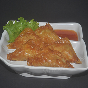 Fried Dumpling